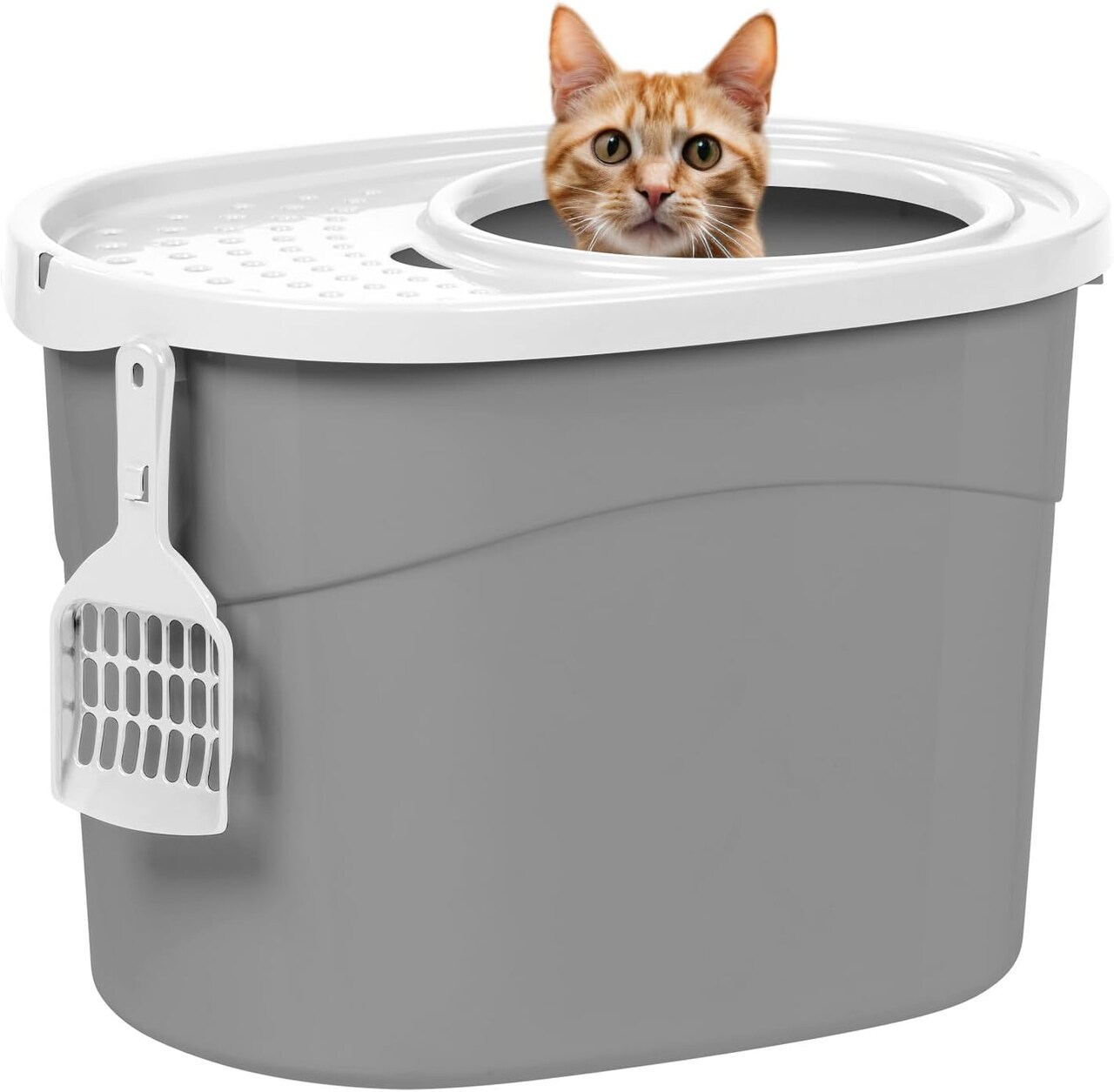 IRIS USA Oval Top Entry Cat Litter Box with Litter Catching Lid, Privacy Walls and Scoop